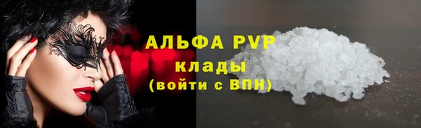 шишки Богданович